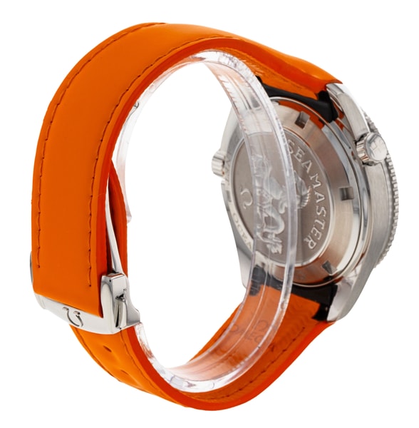 Omega Planet Ocean 2909.50.83